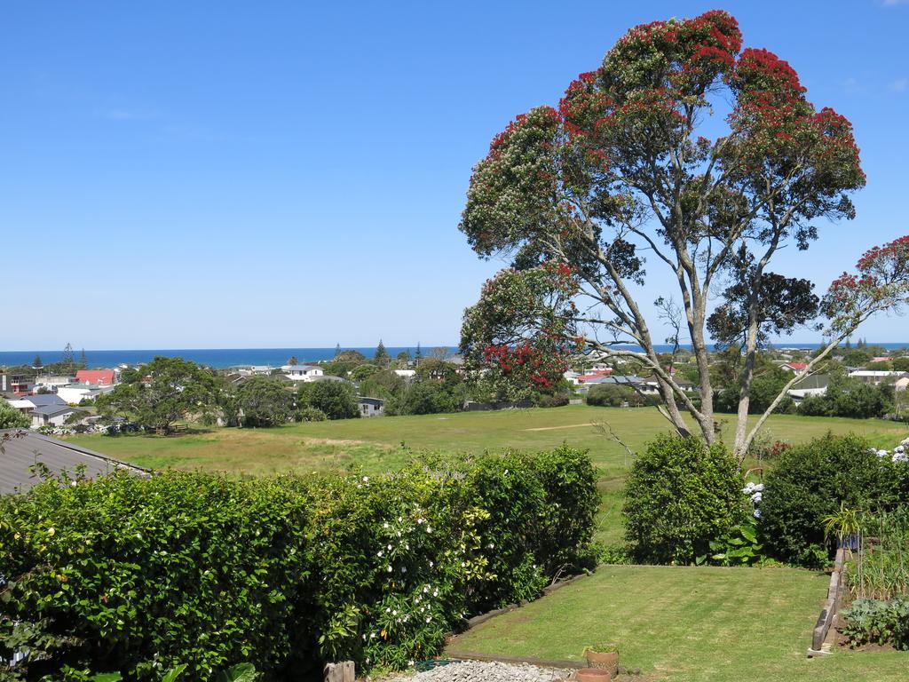 Atalaya Leilighet Waihi Rom bilde